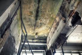 Mold Remediation for Rental Properties in Montgomery City, MO